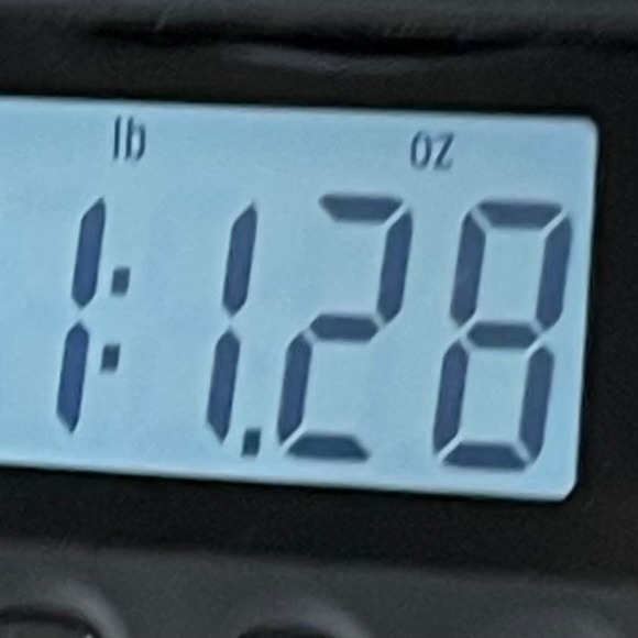 Michael Kors Womens Button Down Shirt Size XL Blue White Checkered - Picture 9 of 10